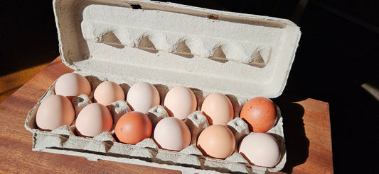 Eggs Add-On (1 Dozen) — With Bread Order Only